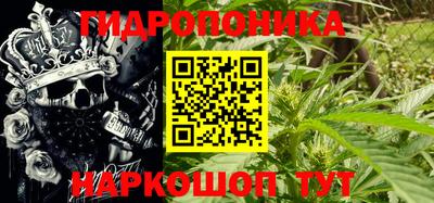 дурь Будённовск